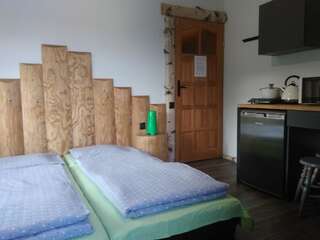 Проживание в семье Zakątek pod Giewontem Косцелиско Двухместный номер с 1 кроватью и собственной ванной комнатой вне номера-2